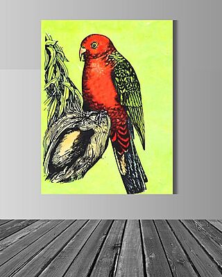 Wallart King Parrot