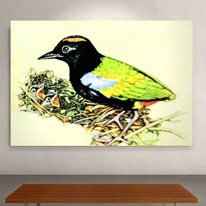 Wallart Pitta