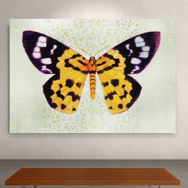 Wallart Militaris