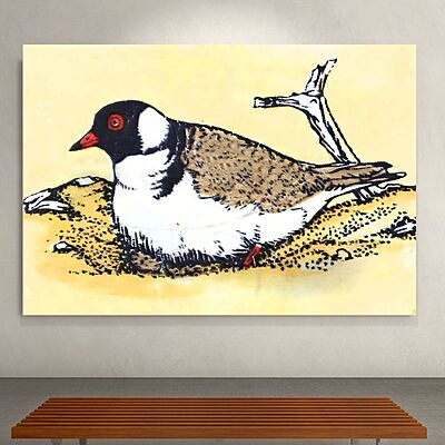 Wallart Dotterel